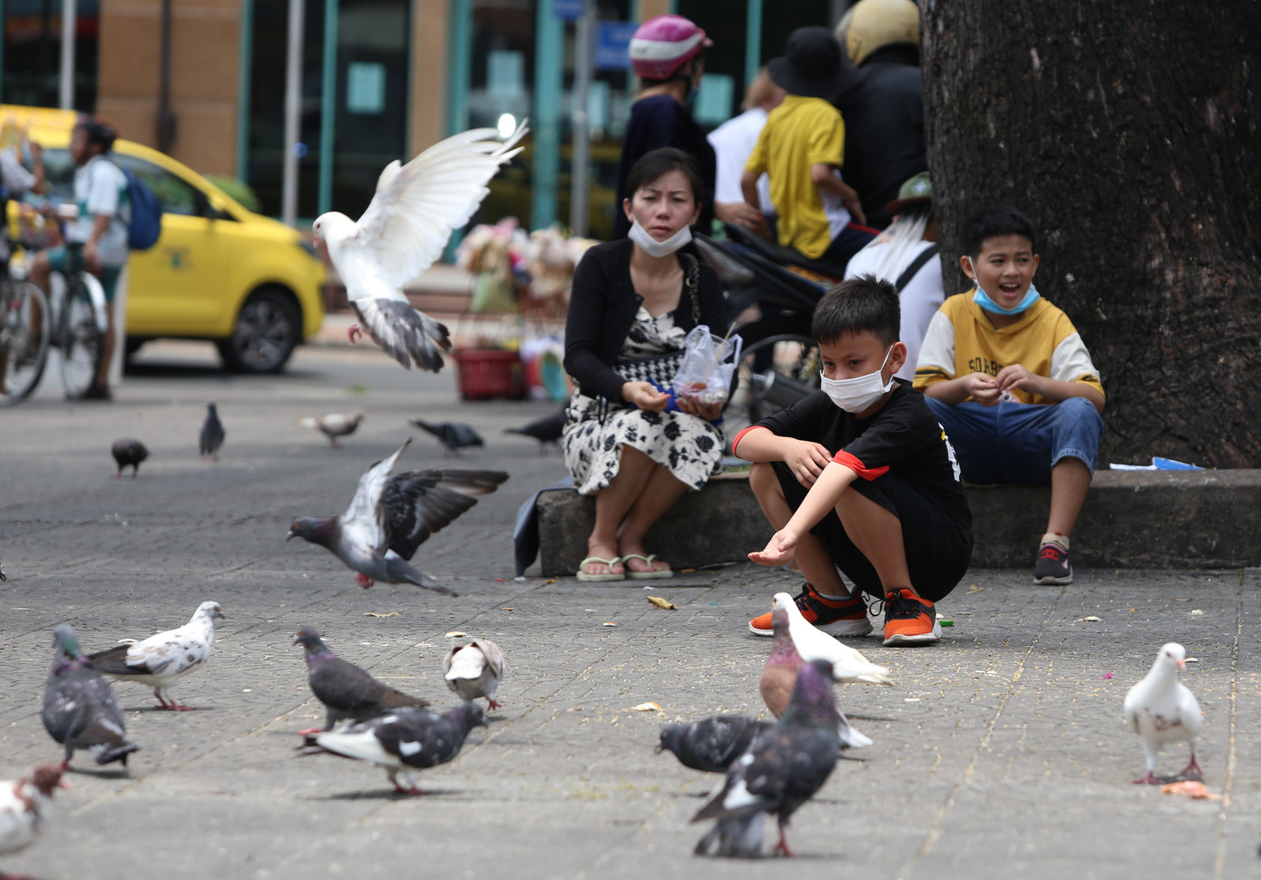 Hình ảnh người dân TPHCM và du khách nhàn tản chăm sóc những đàn bồ câu đã trở thành một trong những biểu tượng của một thành phố "Văn minh, hiện đại và nghĩa tình".