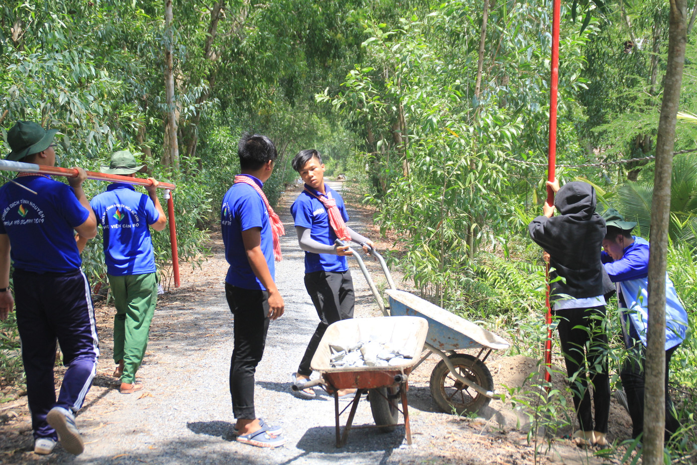 Tuổi trẻ TPHCM góp sức trên nhiều mặt trận tình nguyện hàng chục năm qua.