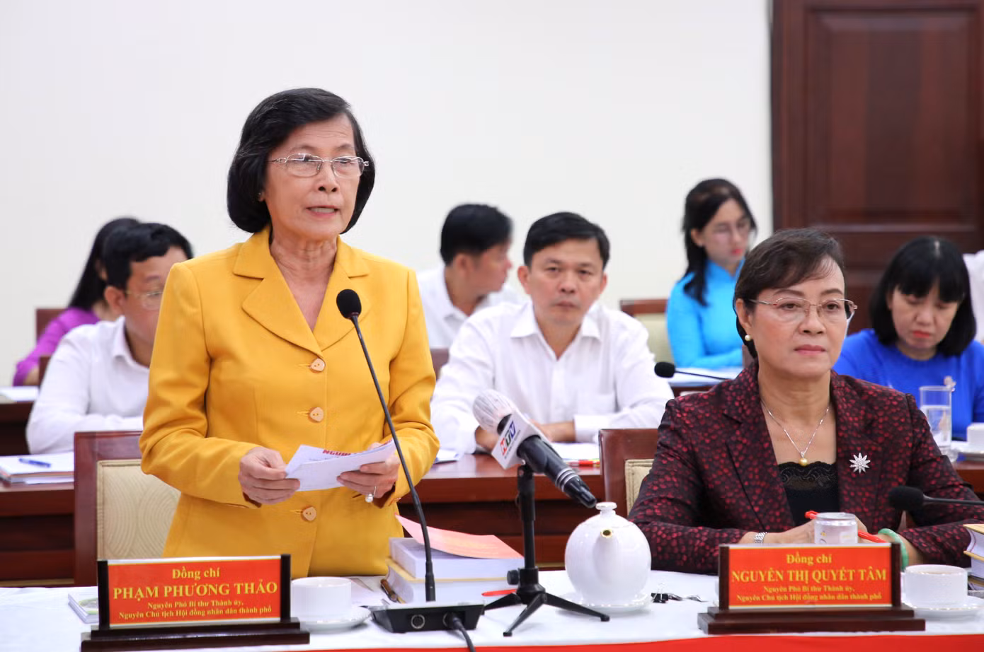 Nguyên Phó Bí thư Thành uỷ TPHCM Phạm Phương Thảo trao đổi tại hội thảo. Ảnh: Ngô Tùng