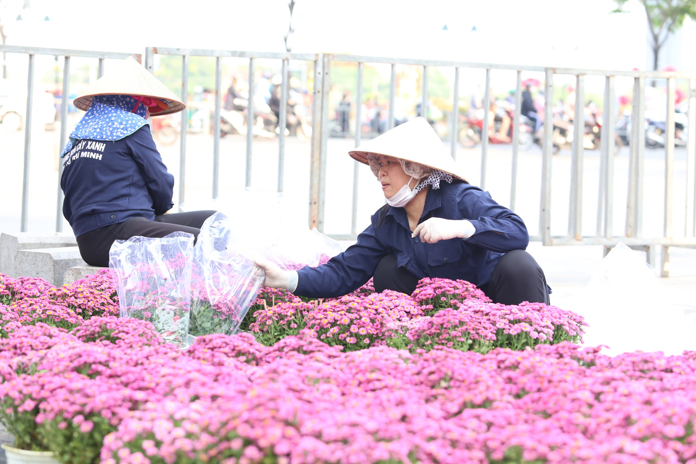 6 năm qua, nữ nhân viên Công ty Công viên cây xanh TPHCM này (đề nghị không nêu tên, người bên phải) đã gắn bó với công việc thi công, trang trí Đường hoa Nguyễn Huệ. "Cứ căn cứ theo mô hình bố trí cùng sự hướng dẫn của các kỹ sư, chúng tôi đặt hoa vào các vị trí phù hợp thôi. Công việc này cũng đơn giản.Với công việc này, tôi rất vui vì được góp phần làm đẹp thành phố trong dịp Tết Nguyên đán", chị nói và cho biết ngày thường làm nhiệm vụ chăm sóc các mảng xanh tại công viên 30/4.