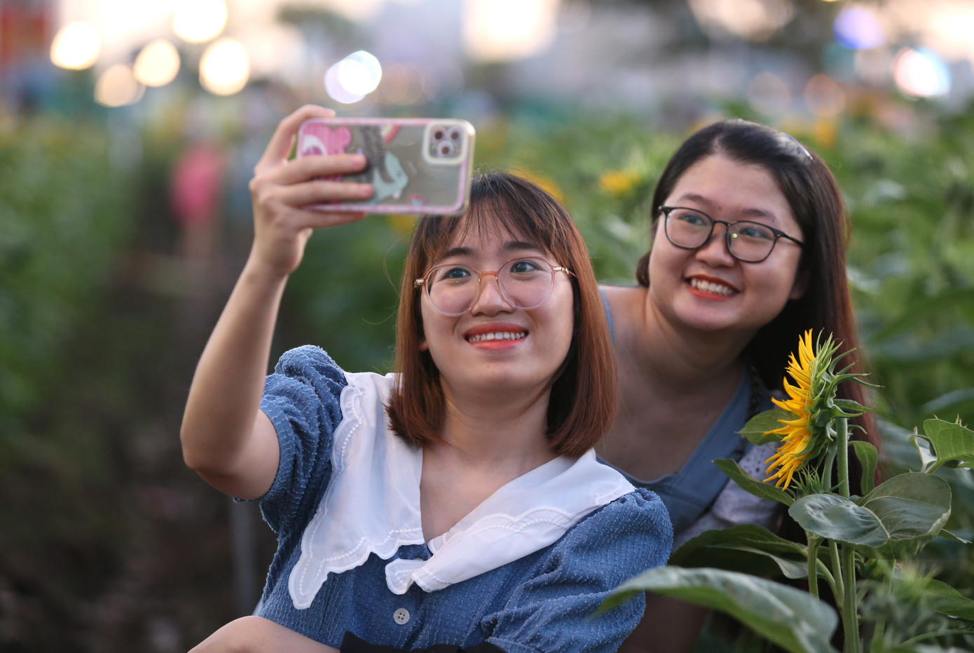 Bạn trẻ thích thú với hàng nghìn đóa hoa đang nở rộ bên bờ sông.