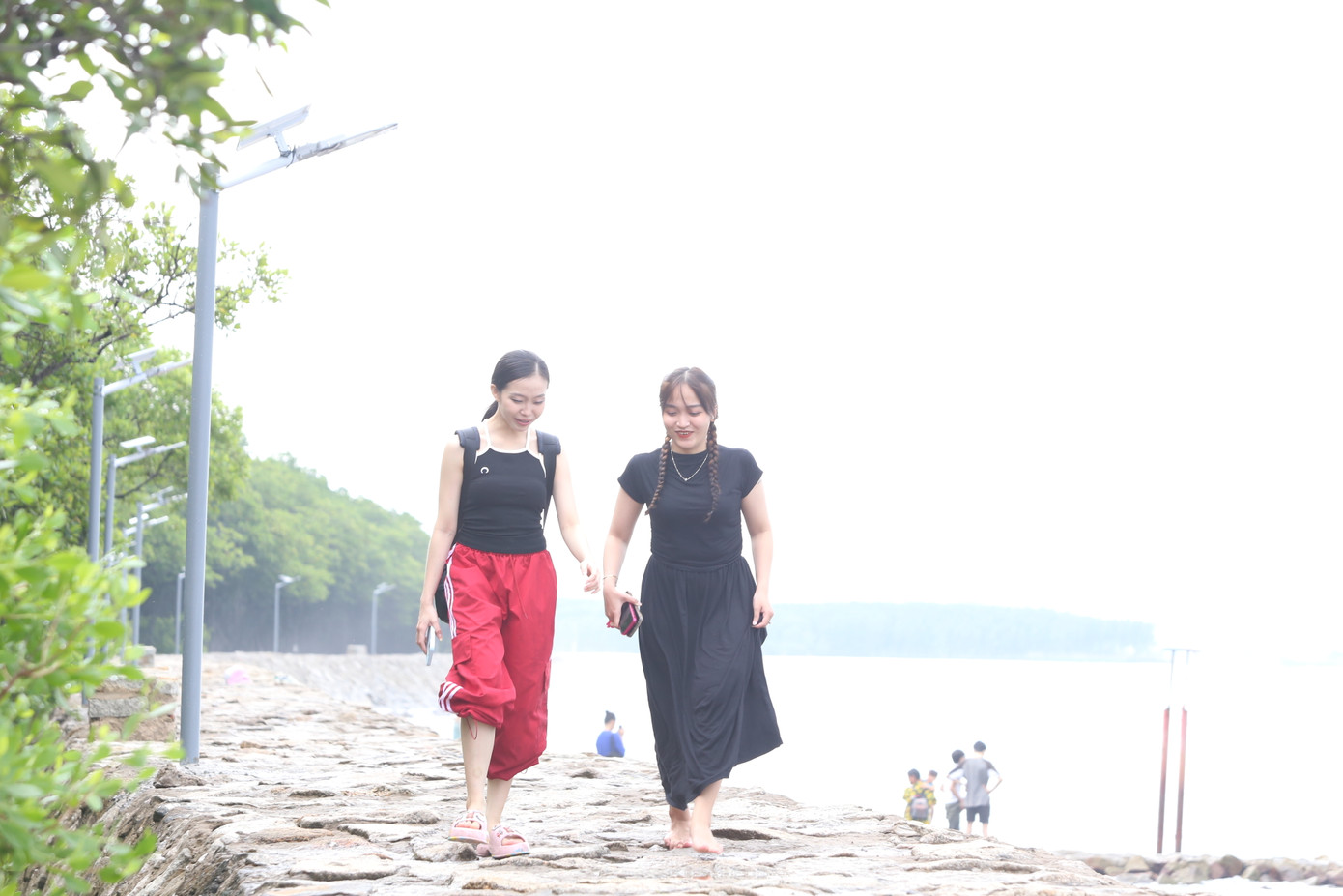 Công trình có chiều dài hơn 700m với 35 trụ đèn do các chiến sĩ tình nguyện Mùa hè xanh Trường Đại học Sư phạm TPHCM, chiến sĩ tình nguyện Hành quân xanh Bộ đội biên phòng và người dân địa phương chung sức thực hiện.