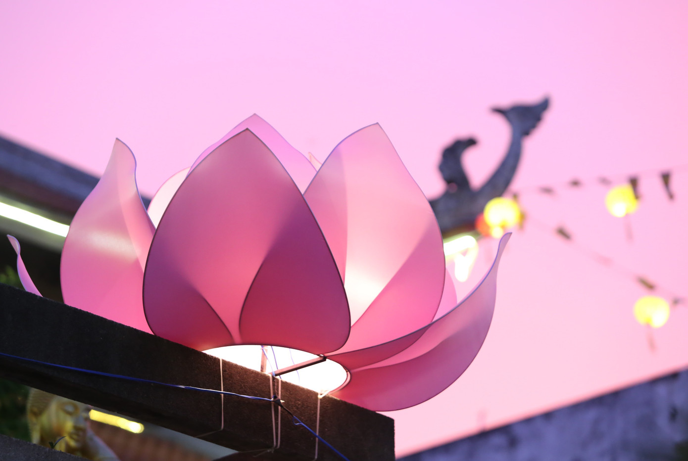 Hình ảnh thanh bình, an yên từ những tòa sen và lồng đèn treo cao trong khuôn viên nhà chùa.