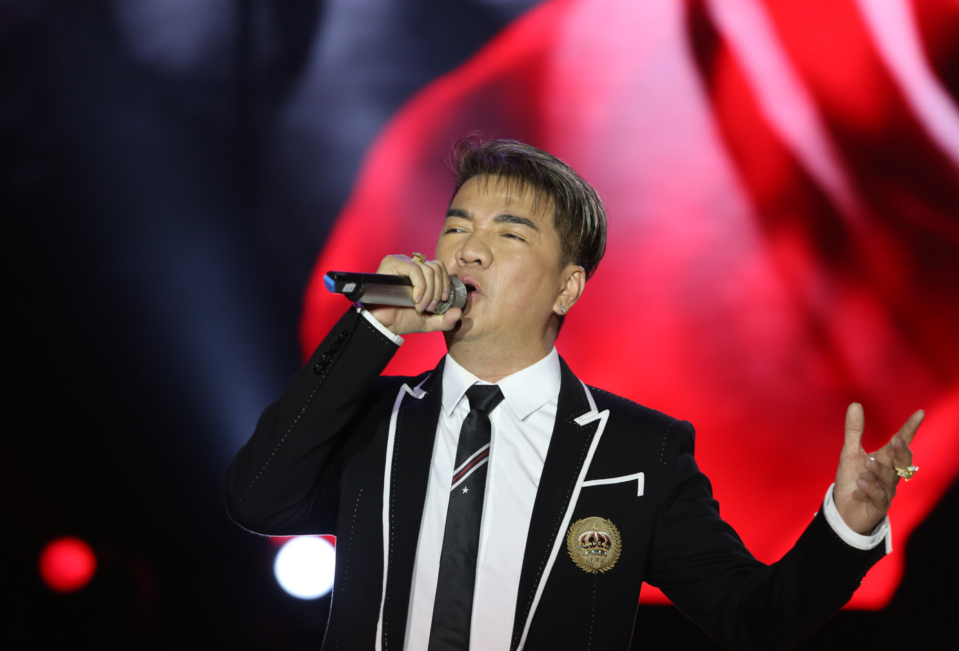 Là nghệ sĩ biểu diễn cuối đêm nhạc, ca sĩ Đàm Vĩnh Hưng gửi đến chương trình chùm ca khúc gắn liền tên tuổi âm nhạc của anh Quê hương tình yêu và tuổi trẻ, Con đường đến trường, Xin lỗi tình yêu, Vùng trời bình yên, Xuân yêu thương...