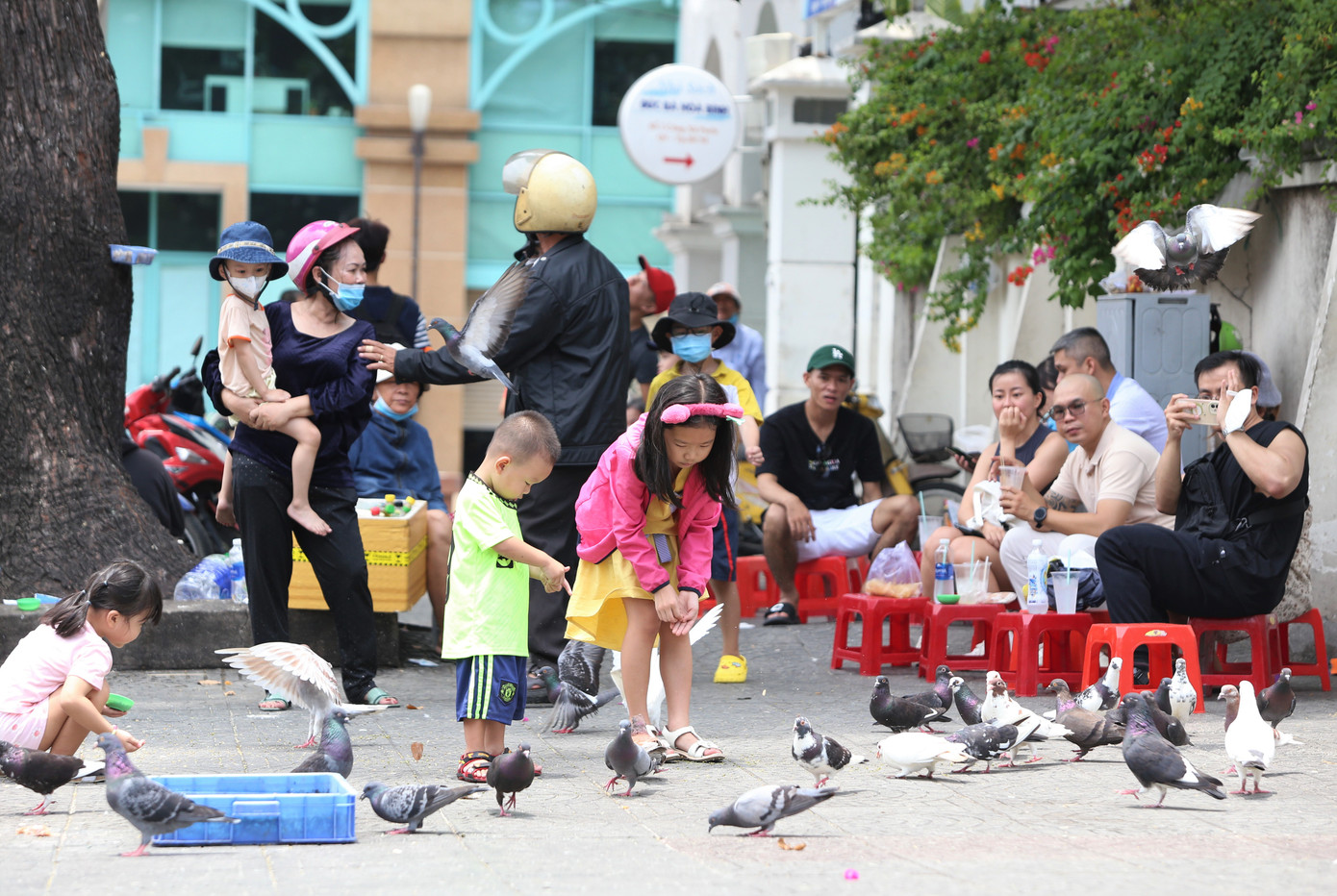 Đến với TPHCM, du khách phương xa luôn cảm thấy hào hứng và thích thú khi có cơ hội nô đùa cùng những đàn bồ câu. Mỗi người cảm nhận được sự yên bình, thư thái trong tâm hồn khi ngồi uống nước trên vỉa hè và nhìn ngắm đàn chim biểu tượng cho hòa bình chao lượn, thong thả ăn các loại ngũ cốc.