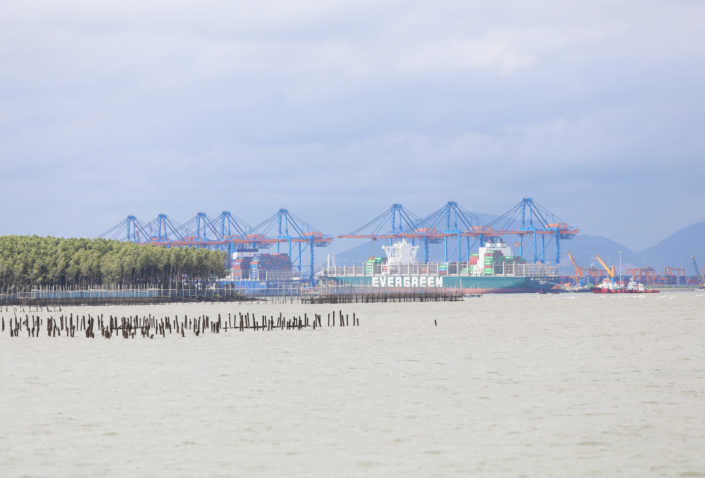 Khu vực biển Cần Giờ. Ảnh: Ngô Tùng.