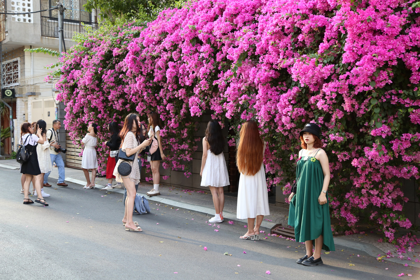 Những ngày này, con đường nhỏ Đặng Tất (phường Tân Định, quận 1, TPHCM) trở nên vô cùng cuốn hút khi những tràng hoa giấy đồng loạt nở rộ và khoe sắc. Những ngày này, con đường nhỏ Đặng Tất (phường Tân Định, quận 1, TPHCM) trở nên vô cùng cuốn hút khi những tràng hoa giấy đồng loạt nở rộ và khoe sắc.