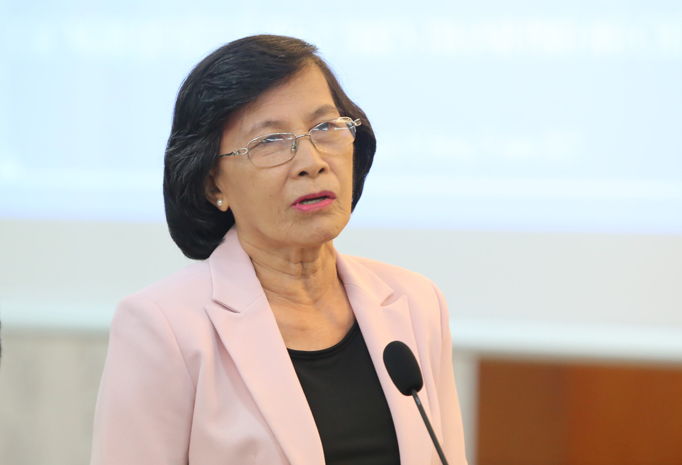 Nguyên Phó Bí thư Thành ủy TPHCM Phạm Phương Thảo trao đổi tại tọa đàm. Ảnh: Ngô Tùng