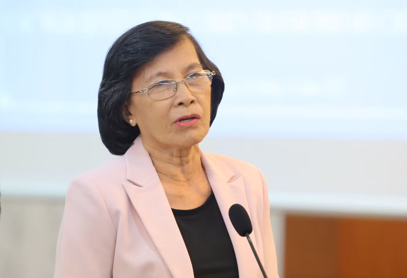 Nguyên Phó Bí thư Thành ủy TPHCM Phạm Phương Thảo trao đổi tại tọa đàm. Ảnh: Ngô Tùng