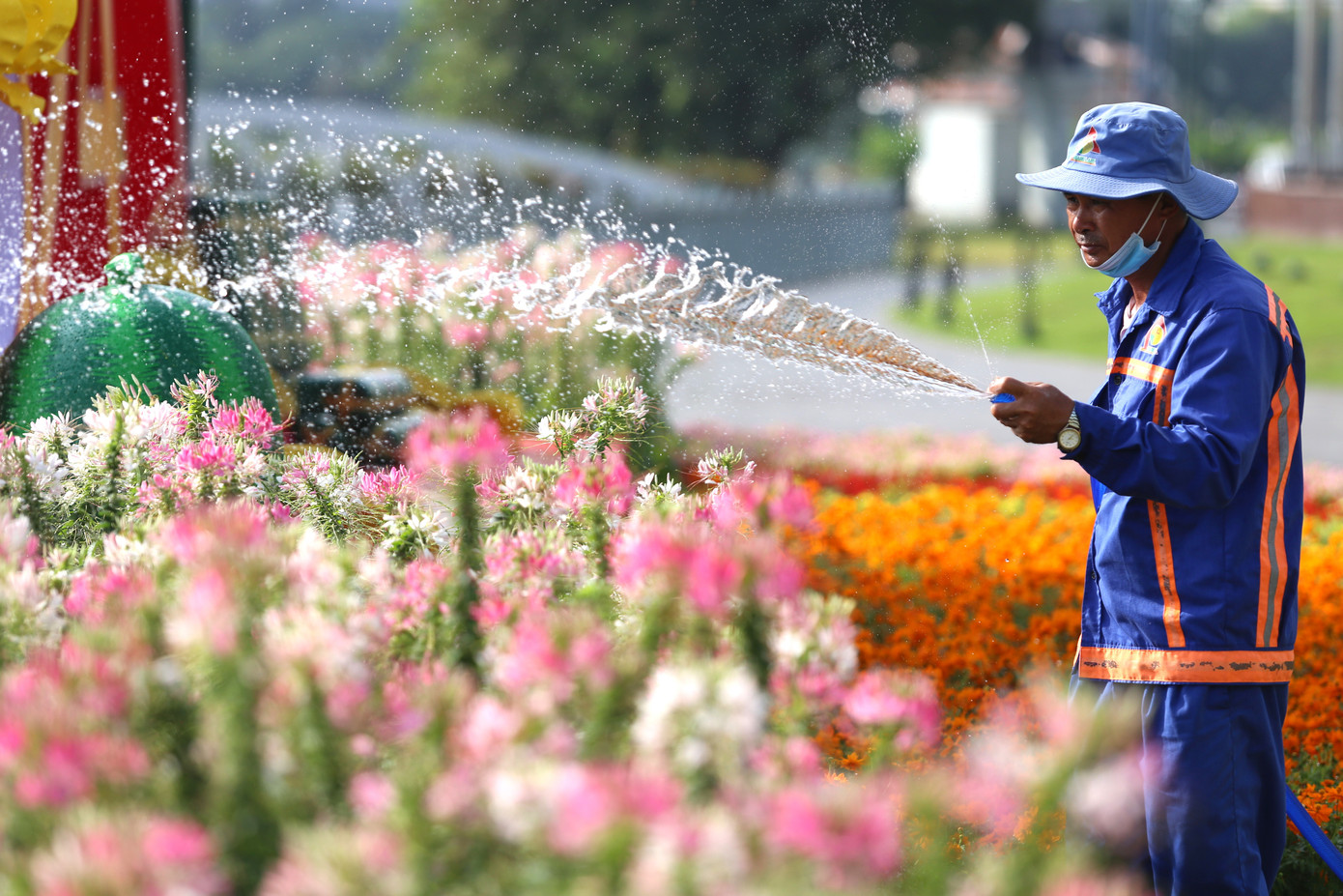 Đội ngũ nhân viên, kỹ thuật viên của các ngành chức năng tất bật chăm sóc hoa kiểng trên các tuyến đường để tạo sắc xuân lung linh cho thành phố. Đội ngũ nhân viên, kỹ thuật viên của các ngành chức năng tất bật chăm sóc hoa kiểng trên các tuyến đường để tạo sắc xuân lung linh cho thành phố.