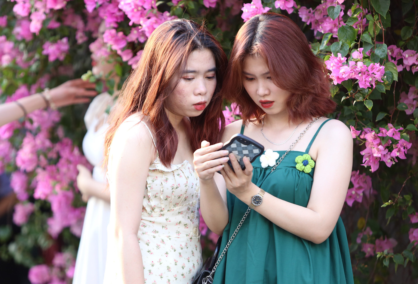 Các bạn trẻ thoải mái chụp ảnh cùng không gian đầy hoa trước hiên nhà. Các bạn trẻ thoải mái chụp ảnh cùng không gian đầy hoa trước hiên nhà.