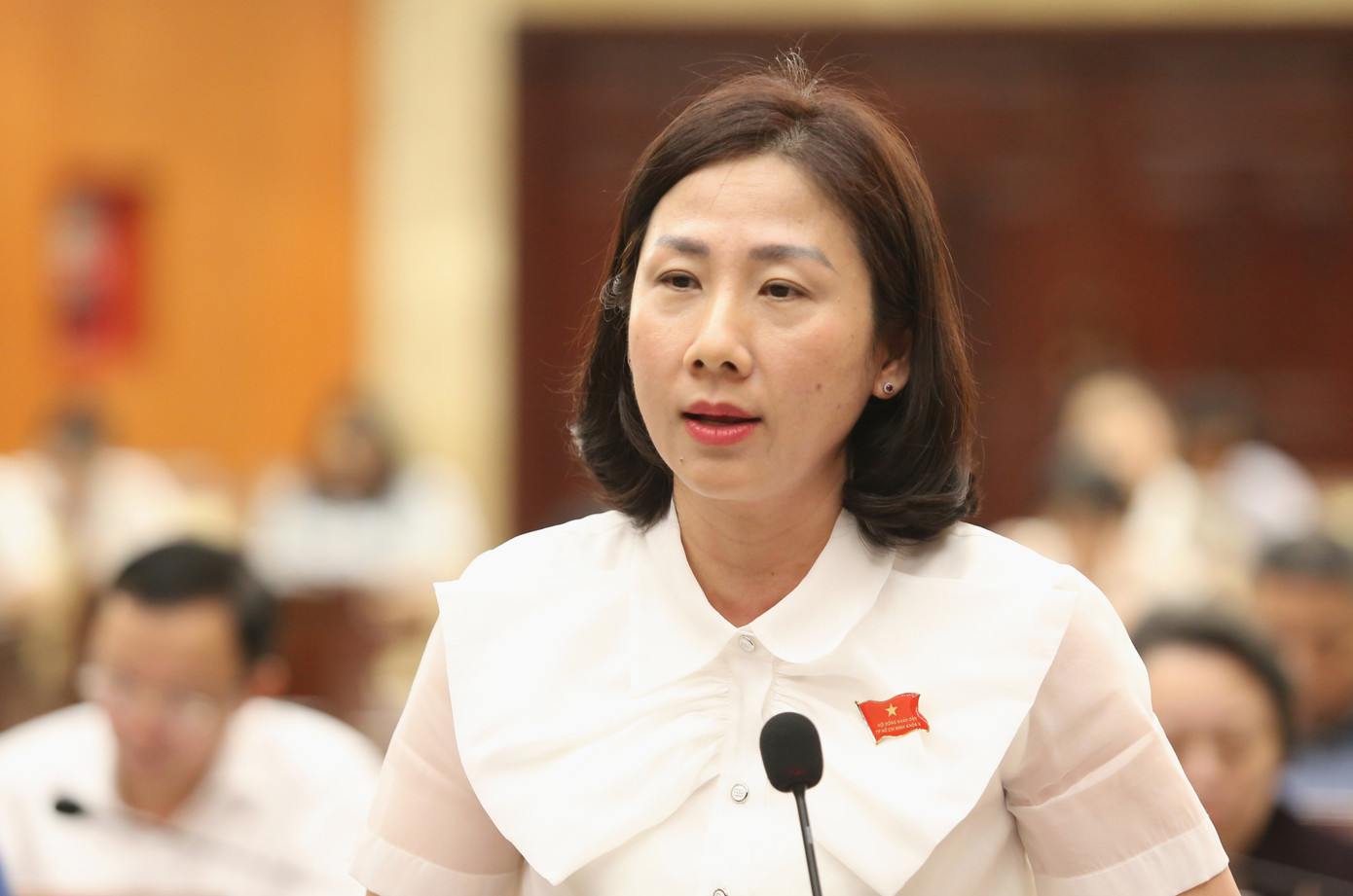 Đại biểu Phạm Thị Thanh Hiền trao đổi tại phiên thảo luận. Ảnh: Ngô Tùng