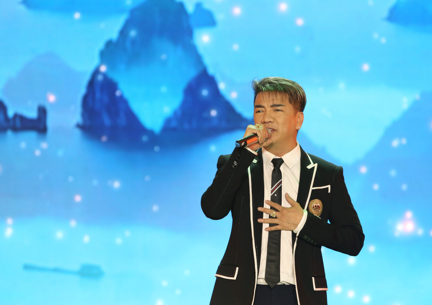 Giới thiệu và chia sẻ với khán giả, Mr. Đàm cho biết anh là ca sĩ duy nhất thắng giải Mai Vàng bằng dòng nhạc xưa với ca khúc Biển tình trước khi thể hiện nhạc phẩm này.