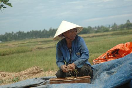 Người dân xã nghèo Quảng Vinh phải góp thóc để nuôi bộ máy cán bộ khổng lồ