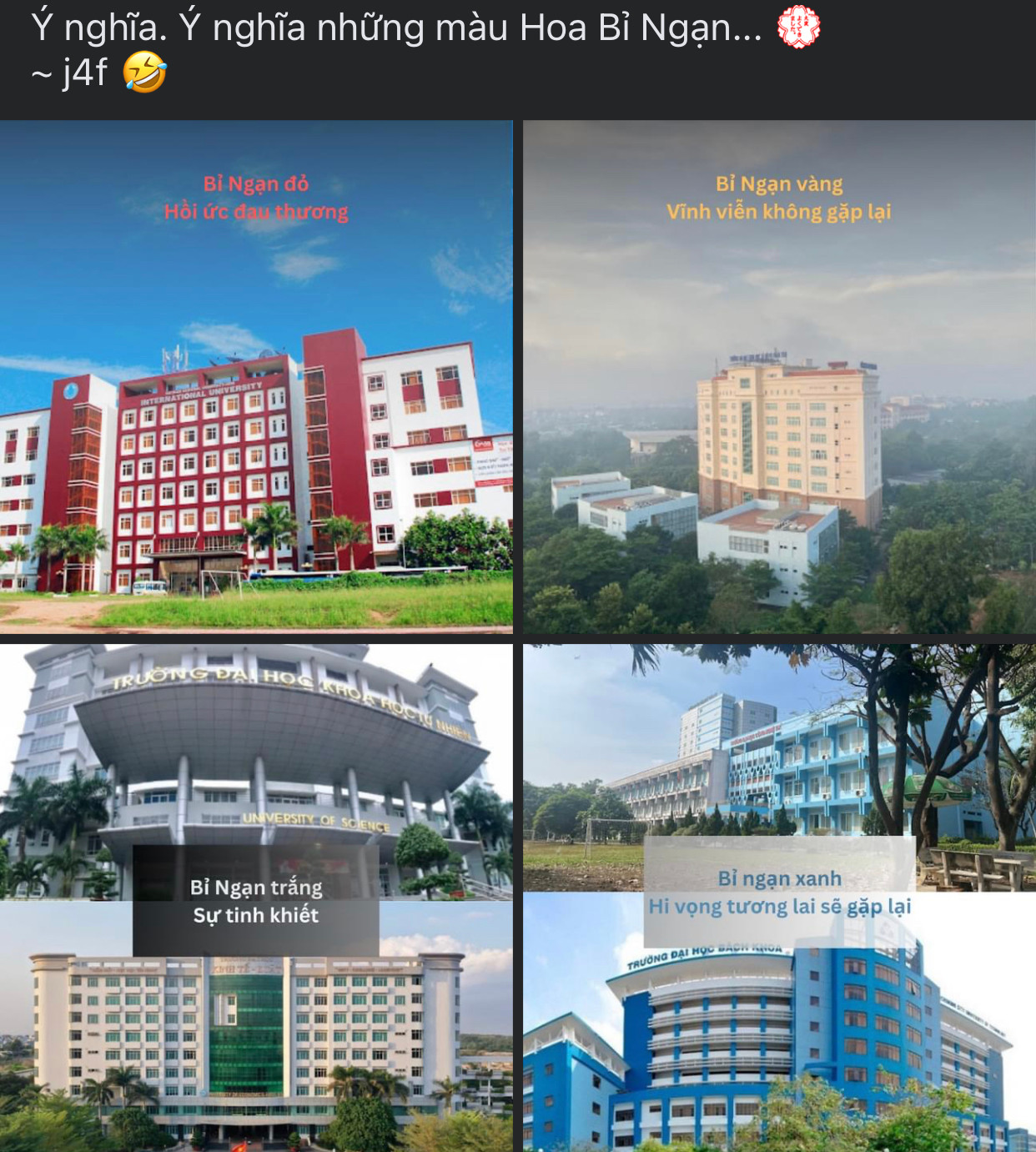 Nhiều fanpage, hội, nhóm cũng theo 'trend' hoa bỉ ngạn.