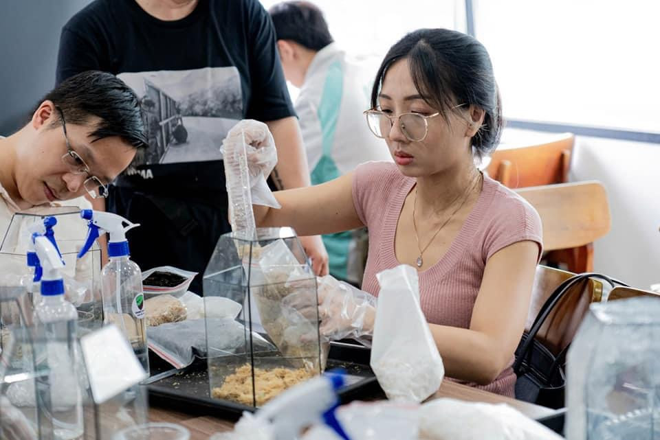 Bạn trẻ thực hiện các bước làm 1 sản phẩm terrarium.