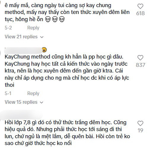 Ý kiến của các bạn trẻ về phương pháp học theo Kay Chung. (Ảnh: Chụp màn hình)