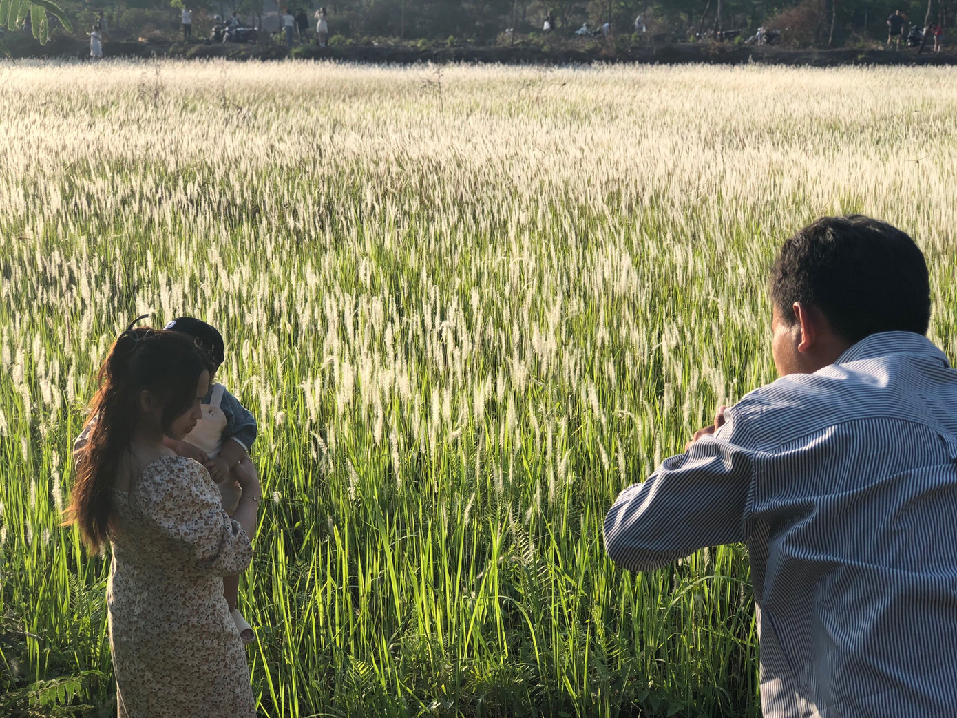 Được dịp lên TP. HCM du lịch, gia đình chị Ánh Tuyết (Kiên Giang) cũng ghé qua đồng cỏ để tham quan. Được dịp lên TP. HCM du lịch, gia đình chị Ánh Tuyết (Kiên Giang) cũng ghé qua đồng cỏ để tham quan.