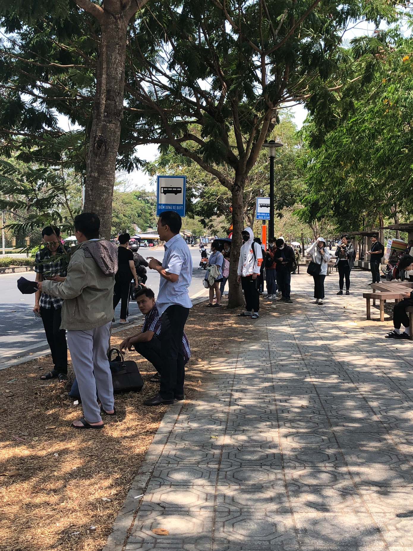 Sinh viên “nấp” dưới tán cây để đợi xe buýt.