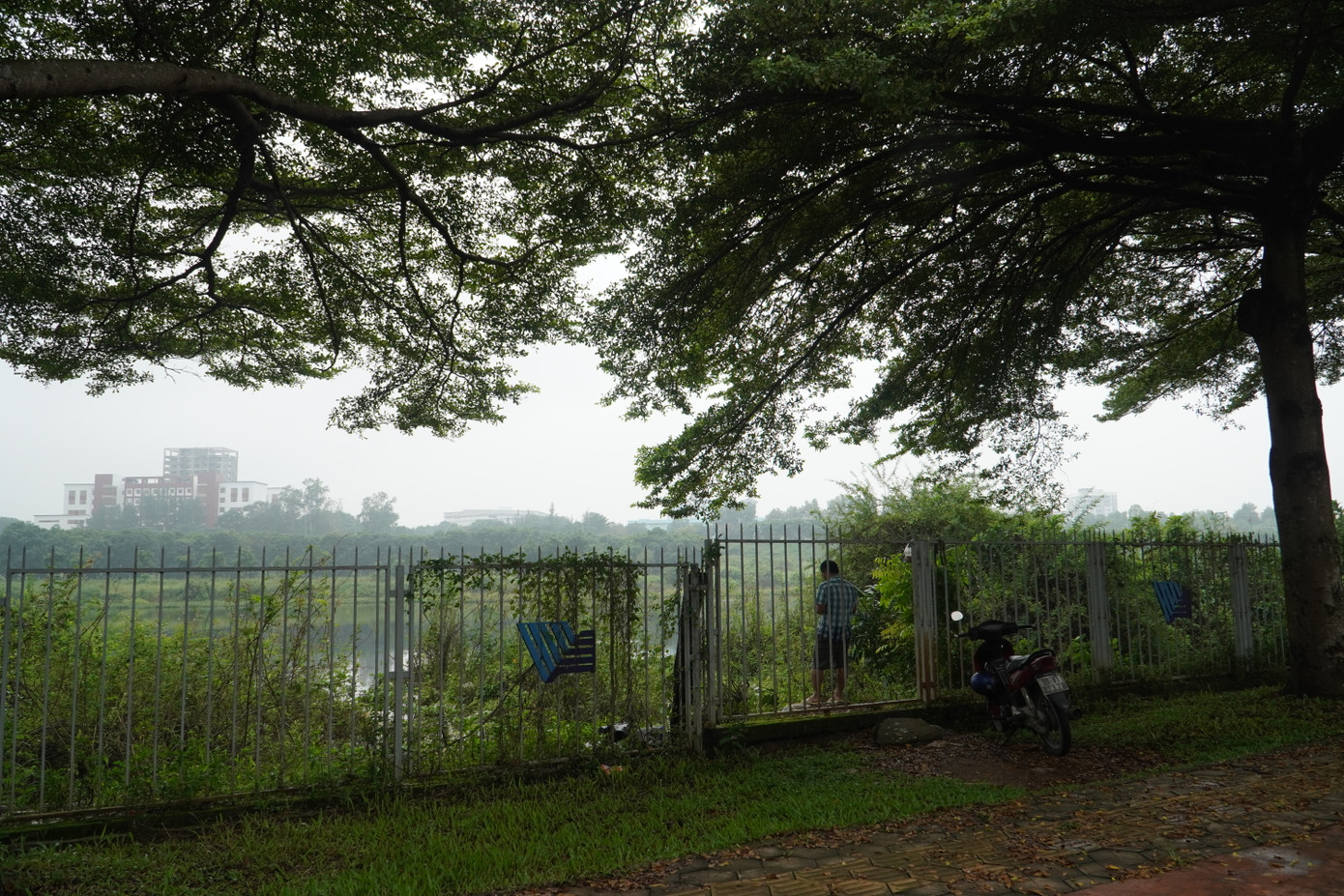 Một &apos;cần thủ&apos; vào bên trong khu vực hồ đá câu cá.