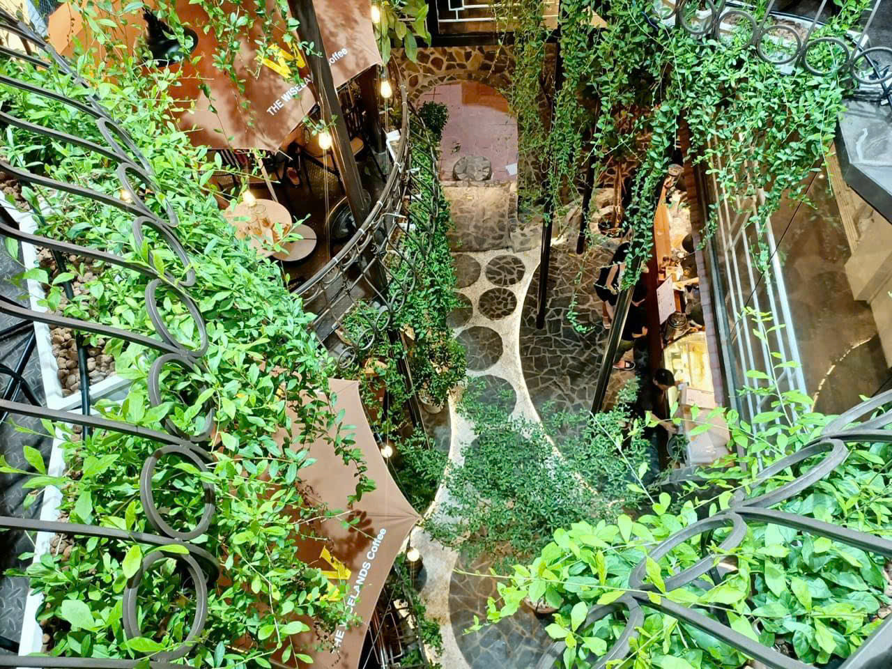 Không gian xanh mát của The Wiselands Coffee. (Ảnh: The Wiselands) Không gian xanh mát của The Wiselands Coffee. (Ảnh: The Wiselands)