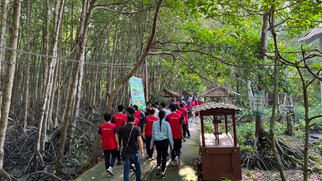 Sinh viên tham gia tour trải nghiệm Rừng Sác (huyện Cần Giờ, TP. HCM).