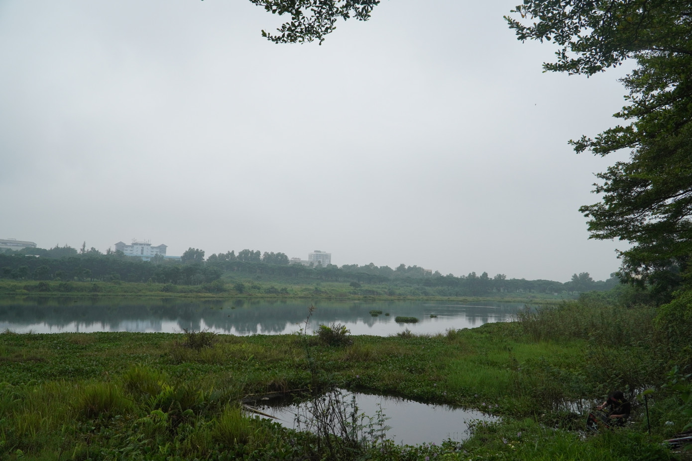 Trung tâm Quản lý và phát triển Khu đô thị ĐHQG TP.HCM cho biết‏‏, trong khu vực này có 5 hồ đá lớn. Nạn nhân của những vụ chết đuối thương tâm chủ yếu là sinh viên, công nhân trẻ tuổi, người dân sinh sống gần khu vực này…