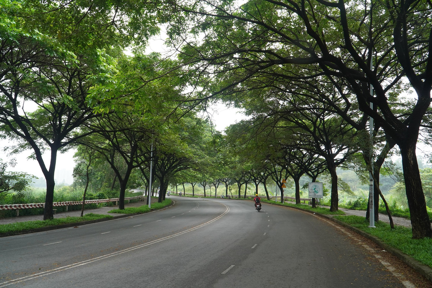 &apos;Con đường Tình yêu&apos; cạnh hồ đá Làng Đại học Thủ Đức được nhiều bạn sinh viên yêu thích, hay tìm ra hóng mát vào mỗi buổi chiều.