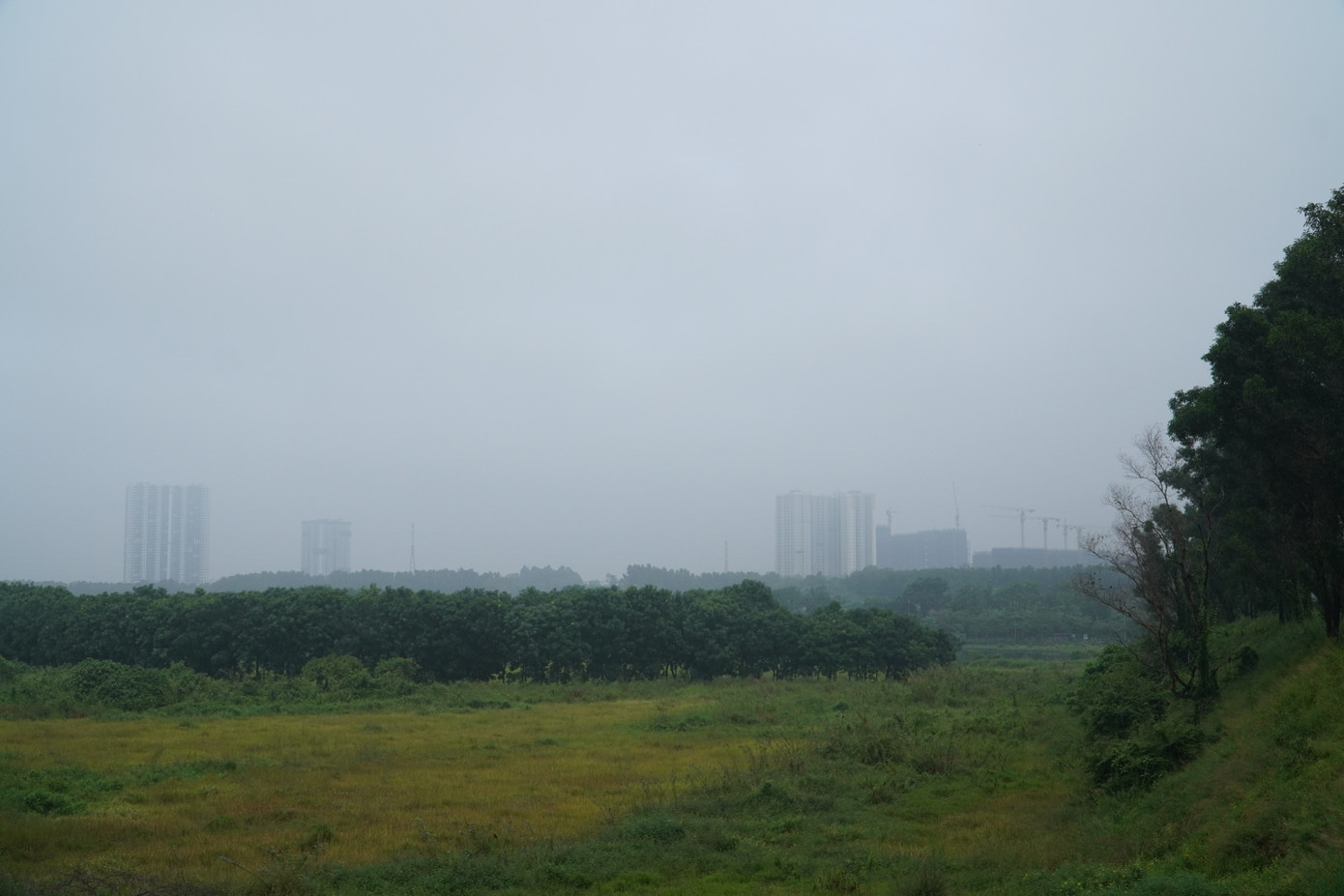 Khu vực hồ đá nhìn từ phía sau trường ĐH Quốc tế (ĐHQG TP. HCM).