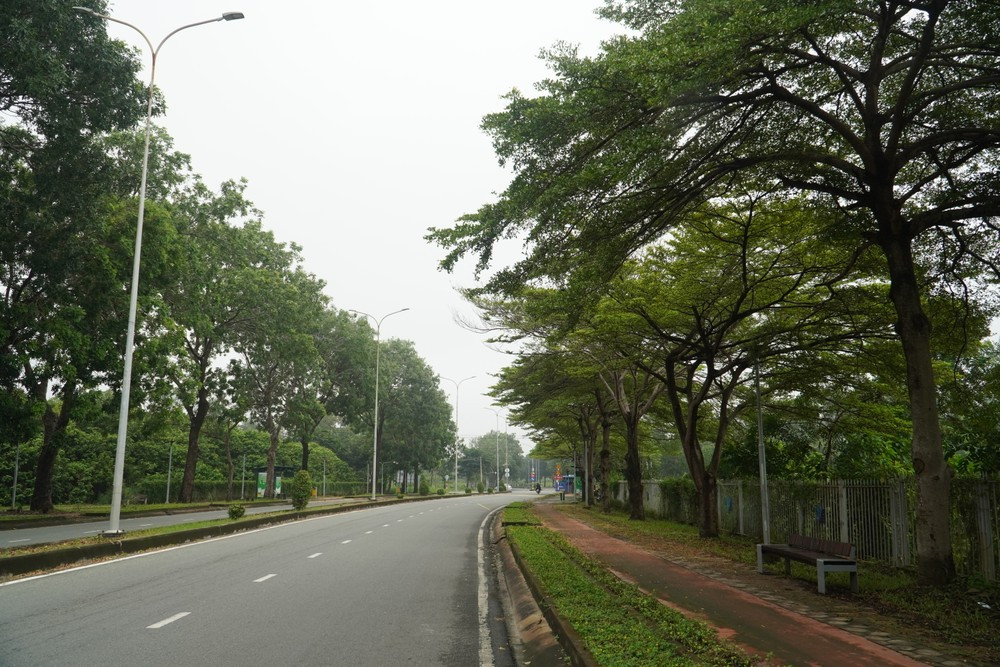 Đường dẫn vào Ký túc xá khu B của ĐHQG TP. HCM chưa có xe buýt phục vụ nội bộ.