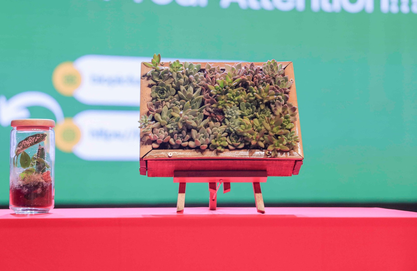 &quot;Tranh sinh học - Biopicture” của đội thi Lá xanh.