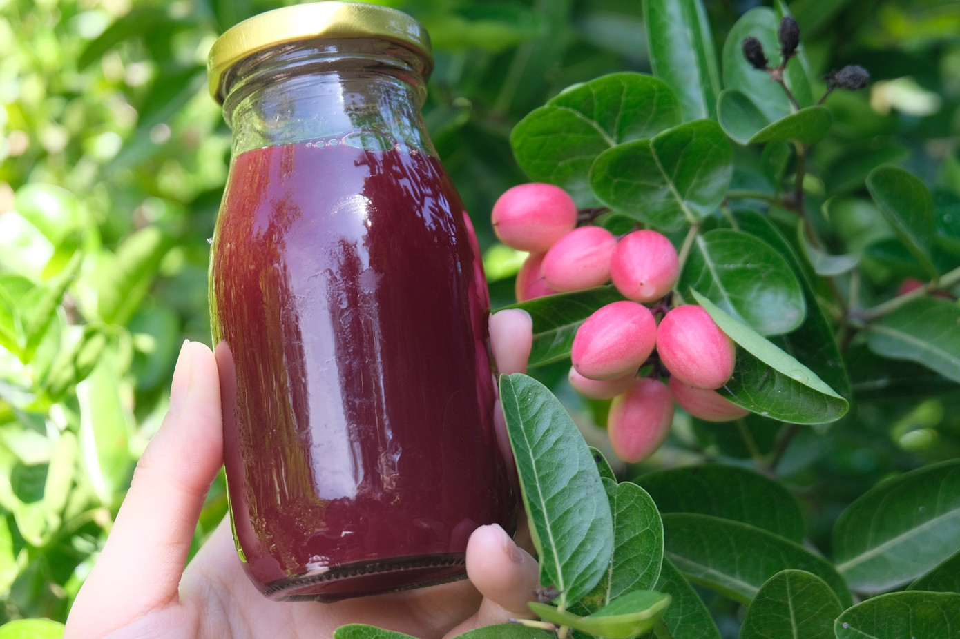 Nước si rô có màu đỏ thẫm rất đẹp mắt. (Ảnh: Như Quyên)