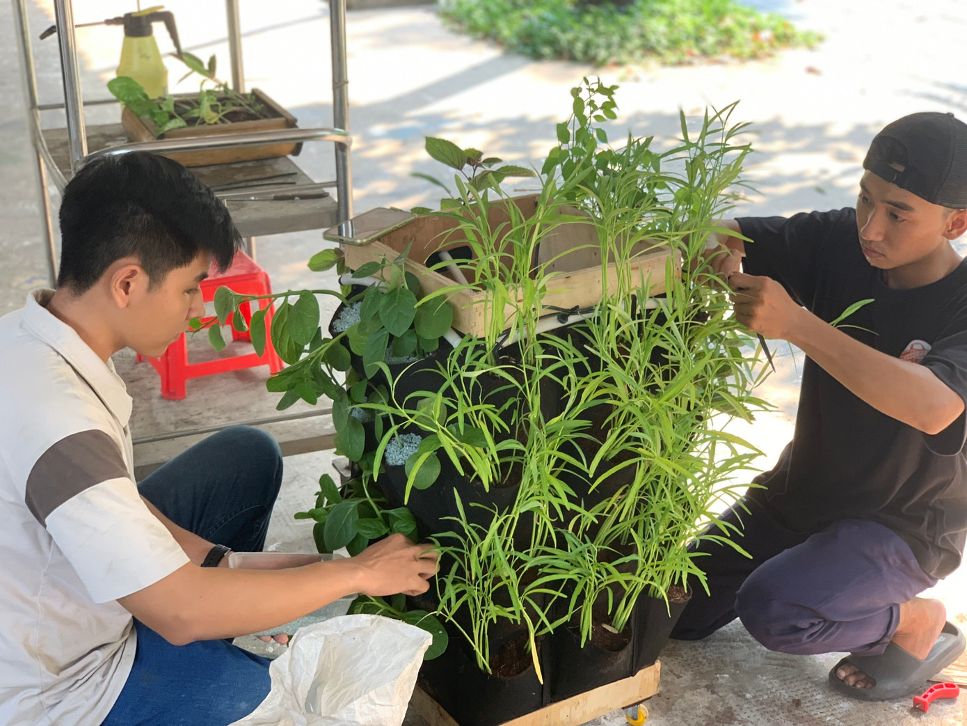 Những ngày làm việc tạo ra sản phẩm của đội thi “Lá Xanh” chính là kỷ niệm đẹp khó quên trong tuổi trẻ của các bạn.