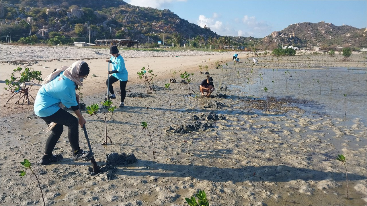 Các tình nguyện viên tham gia trồng cây tại địa phương. (Ảnh: NVCC)