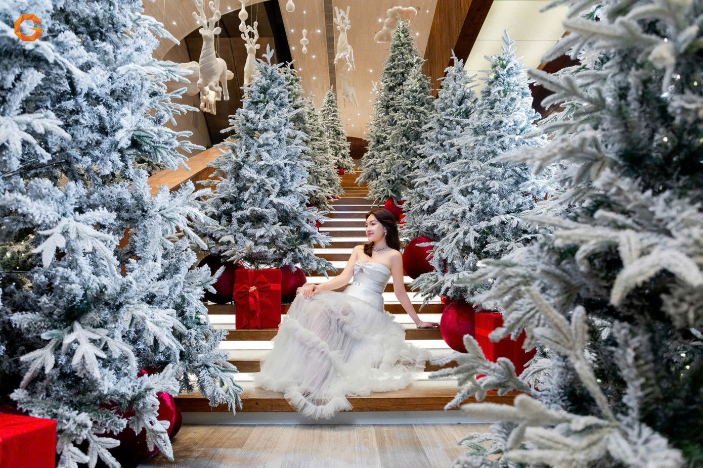 Ẩn mình giữa rừng thông Bắc Âu là chiếc cầu thang vô cực, phong cách trang trí độc đáo thu hút bạn trẻ đến 'check-in'. Ẩn mình giữa rừng thông Bắc Âu là chiếc cầu thang vô cực, phong cách trang trí độc đáo thu hút bạn trẻ đến 'check-in'.