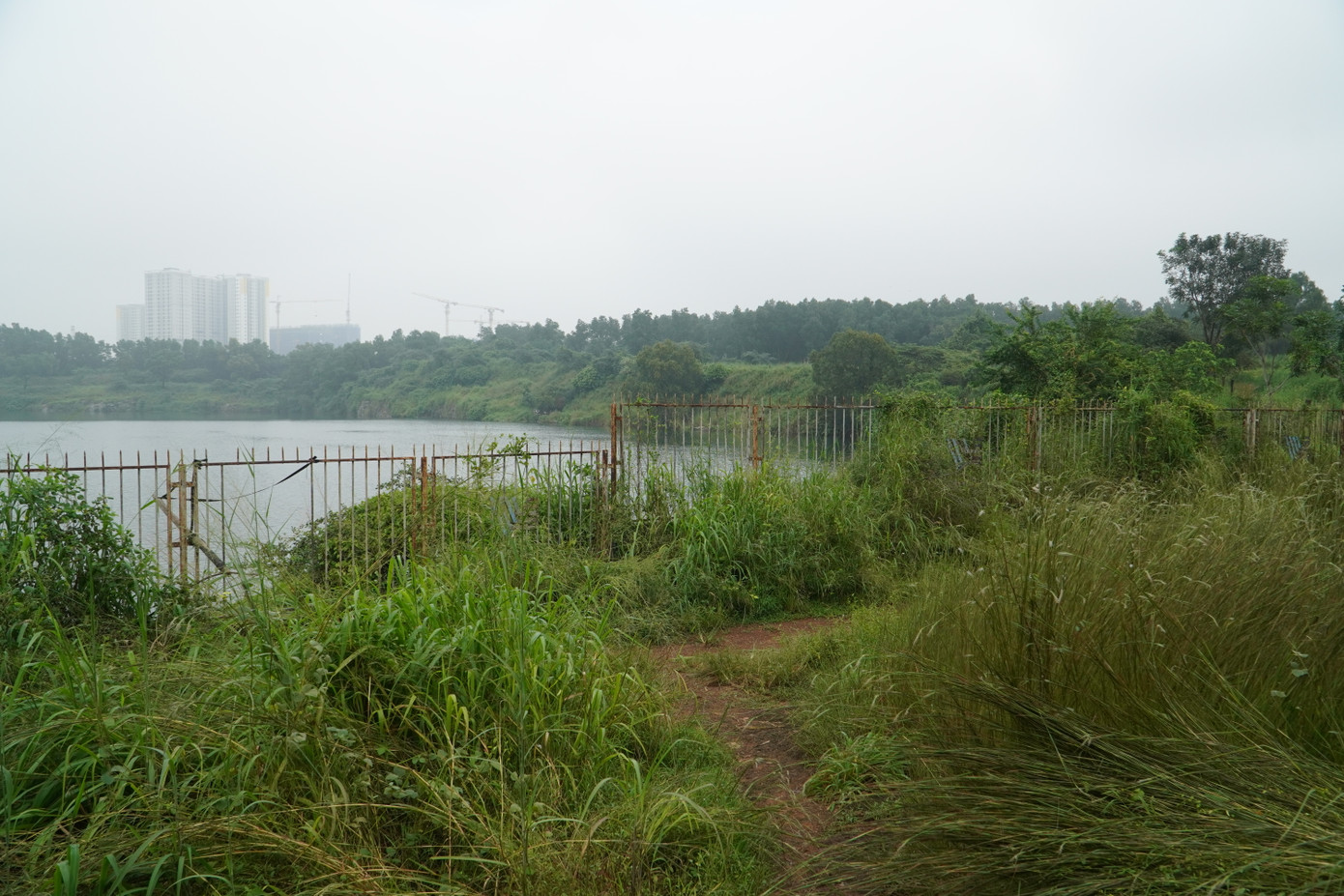 Những lối mòn mà sinh viên hay đi dạo quanh khu vực hồ đá.