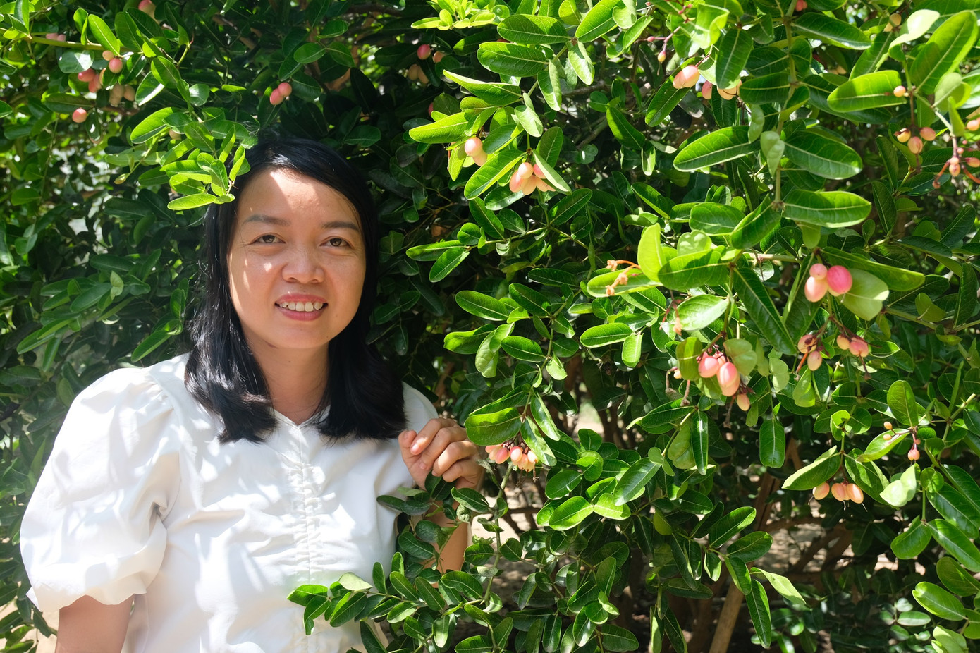 Chị Uyên Trinh và cây si rô ra trái cho vụ mùa mới. (Ảnh: Như Quyên)