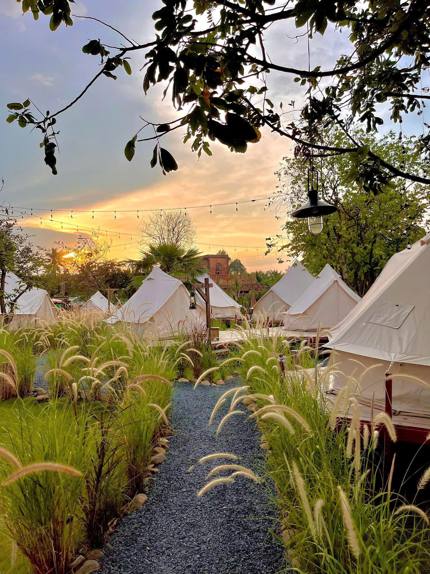 Khung cảnh tại Trang trại Sarova là điều hiếm thấy tại thành phố (Ảnh: Sarova Farm & Glamping) Khung cảnh tại Trang trại Sarova là điều hiếm thấy tại thành phố (Ảnh: Sarova Farm & Glamping)