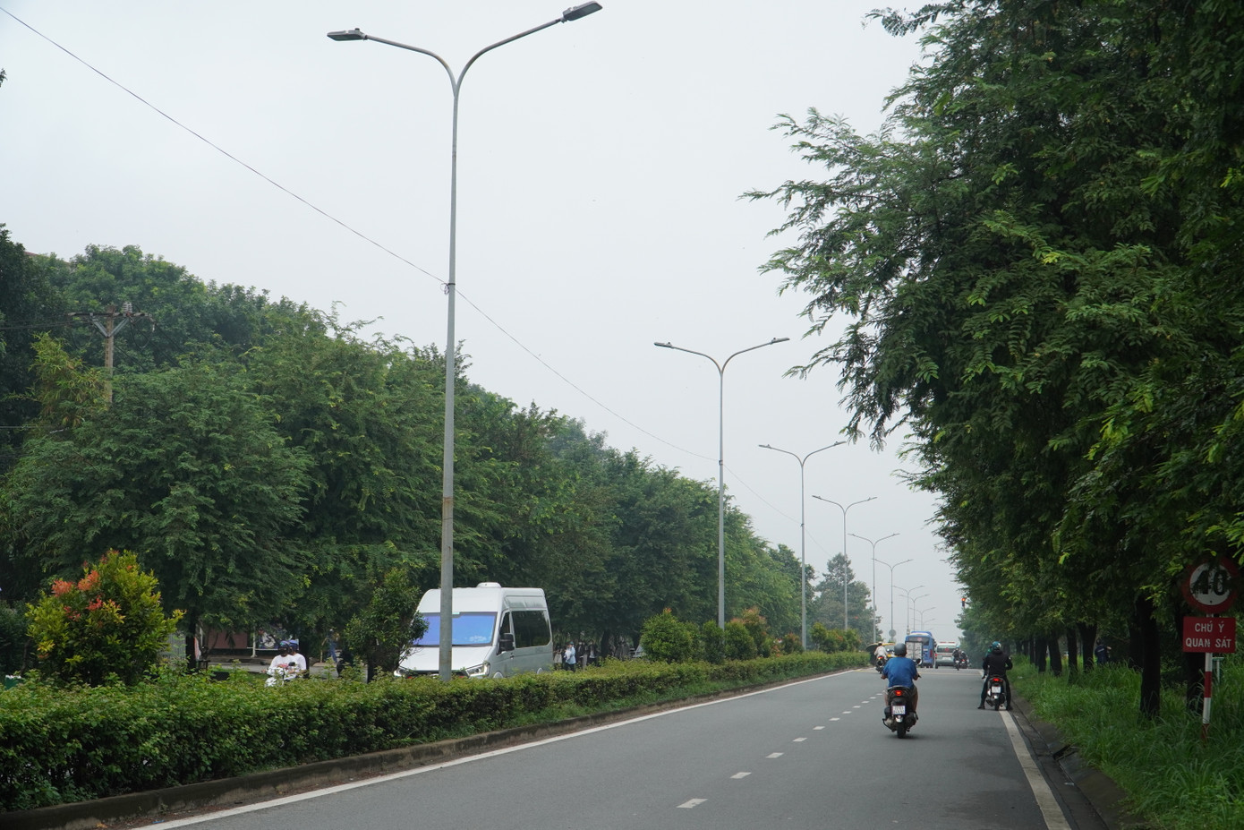 Cung đường dẫn ra khu vực hồ đá với những hàng cây hai bên rợp bóng mát.