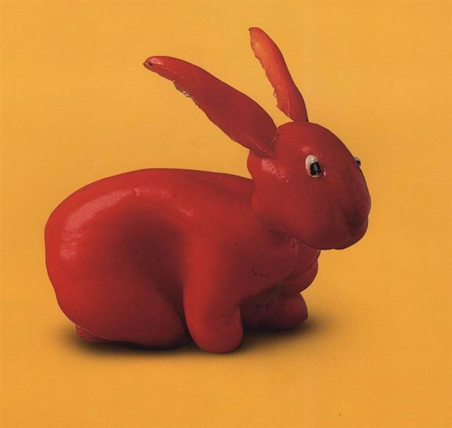 Thế giới động vật rau củ quả ngộ nghĩnh ảnh 9