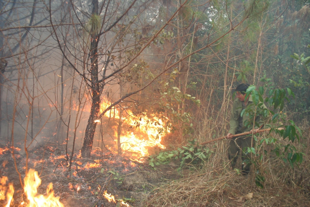 Một số hình ảnh từ hiện trường