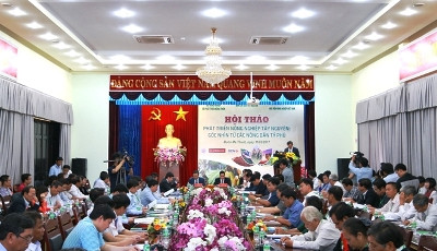 Phát triển nông nghiệp Tây Nguyên: Góc nhìn từ các nông dân tỷ phú ảnh 1