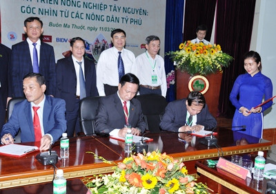 Phát triển nông nghiệp Tây Nguyên: Góc nhìn từ các nông dân tỷ phú ảnh 2