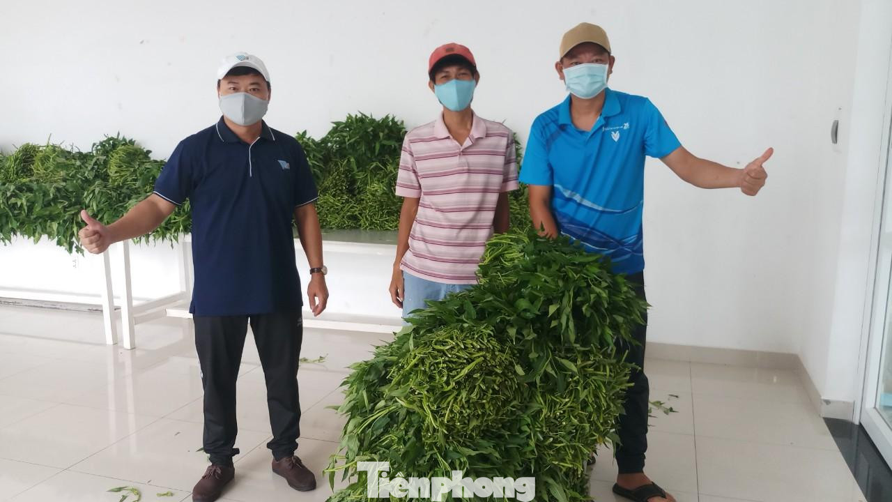 Các anh trong chung cư tình nguyện mang rau lên các tầng bị phong tỏa cho cư dân Các anh trong chung cư tình nguyện mang rau lên các tầng bị phong tỏa cho cư dân