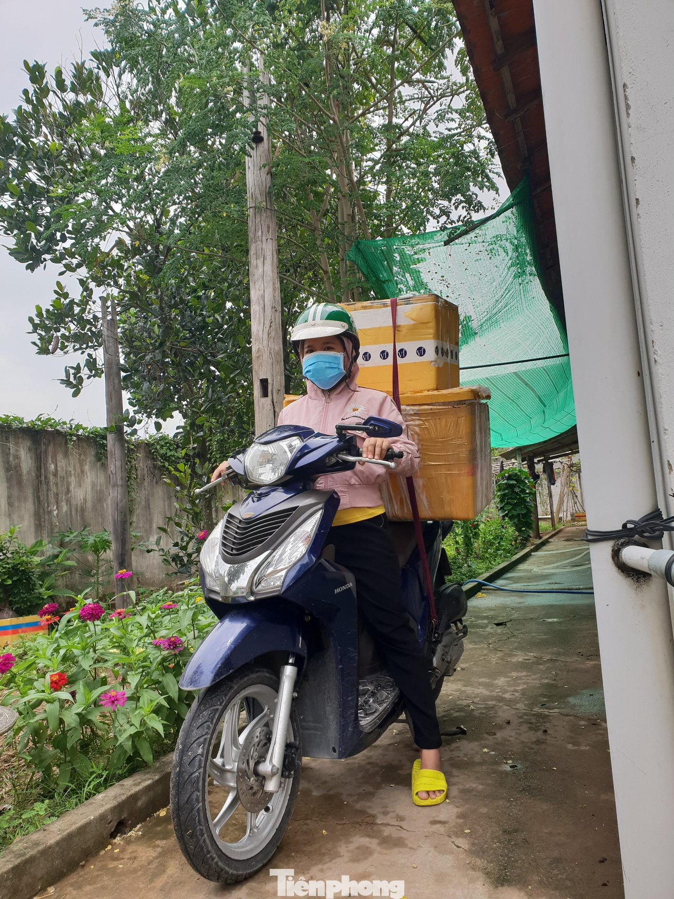 Cô Nga chở những thùng cá gửi từ quê Phú Yên vào để bán và giao cho khách với hy vọng kiếm đôi đồng cầm cự qua dịch bệnh Cô Nga chở những thùng cá gửi từ quê Phú Yên vào để bán và giao cho khách với hy vọng kiếm đôi đồng cầm cự qua dịch bệnh