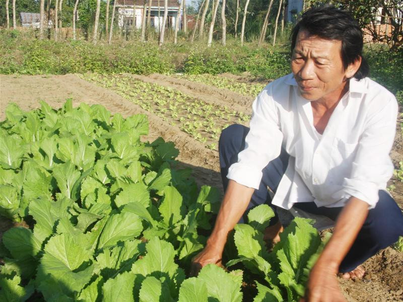 Anh Trần Phong: “Mai này đi, không biết có đủ đất để trồng trọt sinh sống?” Ảnh: T.Việt