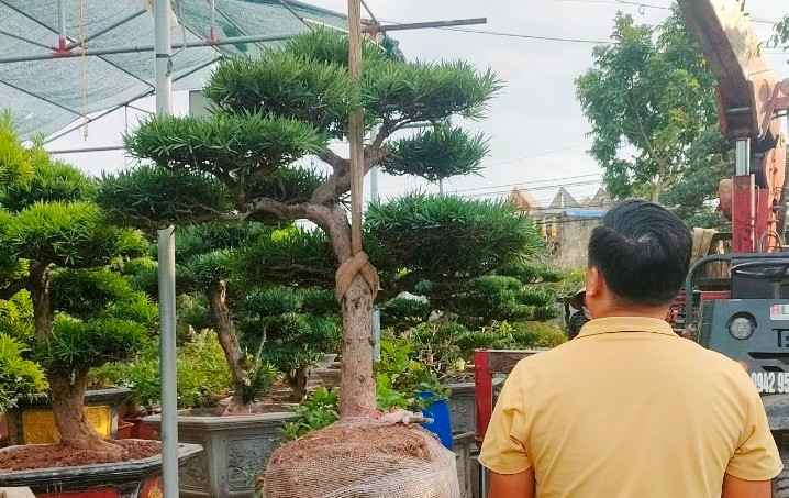 Các hộ dân liên kết với nhau để ký kết hợp đồng, cung ứng sản phẩm và nộp thuế với nhà nước. Các hộ dân liên kết với nhau để ký kết hợp đồng, cung ứng sản phẩm và nộp thuế với nhà nước.