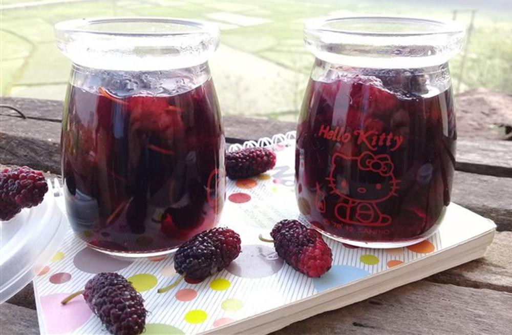 Dâu tằm có chứa nhiều vitamin A, C, E cùng với các thành phần carotenoid như lutein, beta carotene, zeaxanthin, và alpha carotene. Những chất này giúp chống lại quá trình oxy hóa, chống lại sự tấn công của các gốc tự do giúp cho da mịn màng, tóc đen bóng và khỏe mạnh. Ảnh minh họa: Internet