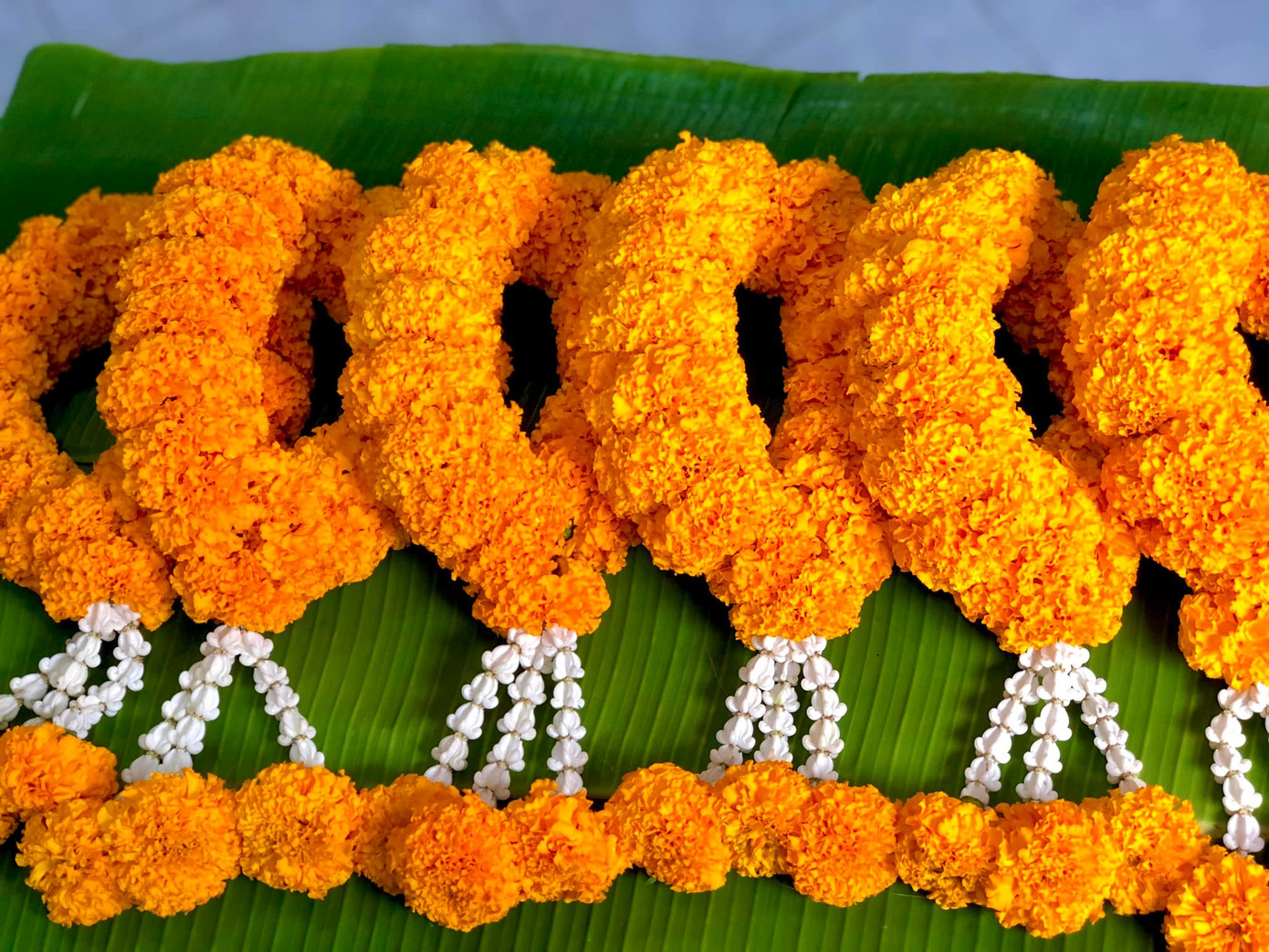 Vòng hoa được đan kết từ hoa cúc vạn thọ. Vòng hoa được đan kết từ hoa cúc vạn thọ.