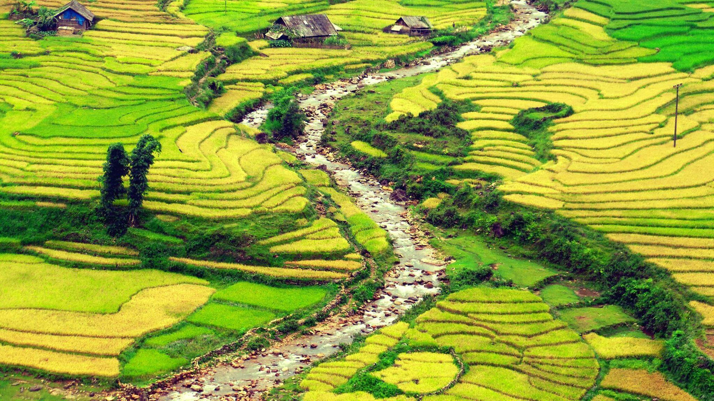 Bản Tả Van, Sa Pa, Lào Cai.